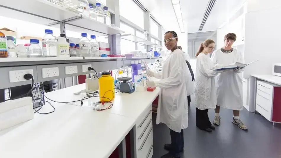 Researchers in a Hunter Medical Research Institute laboratory