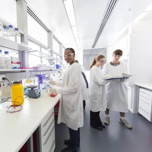 Researchers in a Hunter Medical Research Institute laboratory