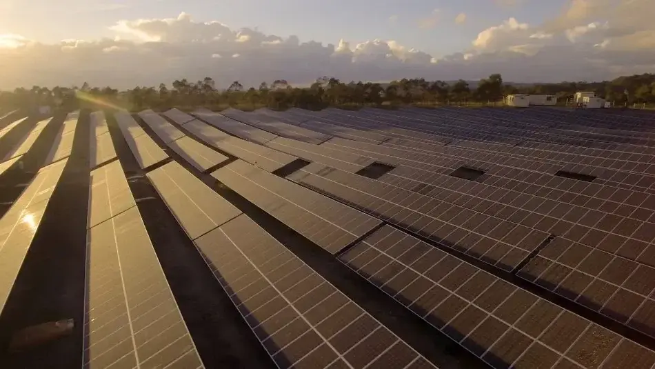 Rows of solar panels at a renewable energy site in Newcastle captured at sunset with golden light and clouds overhead.