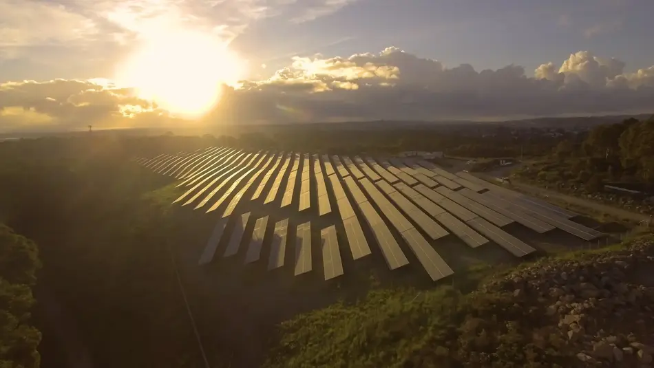 Rows of solar panels at a renewable energy site in Newcastle captured at sunset with golden light and clouds overhead.
