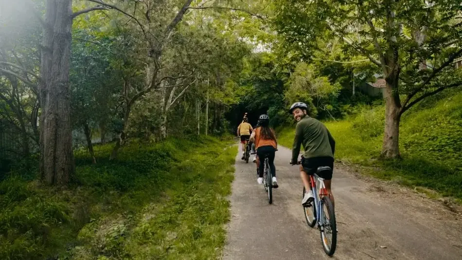 A group of people riding bikes on the Fernleigh cycleway path through bushland.